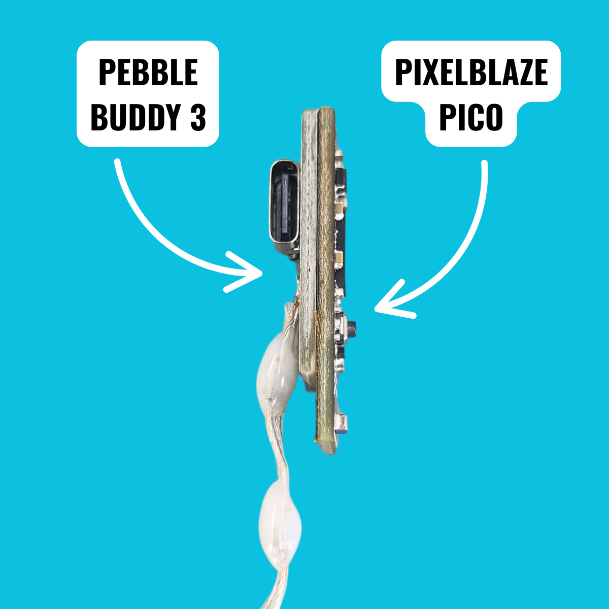 Pebble Buddy 3