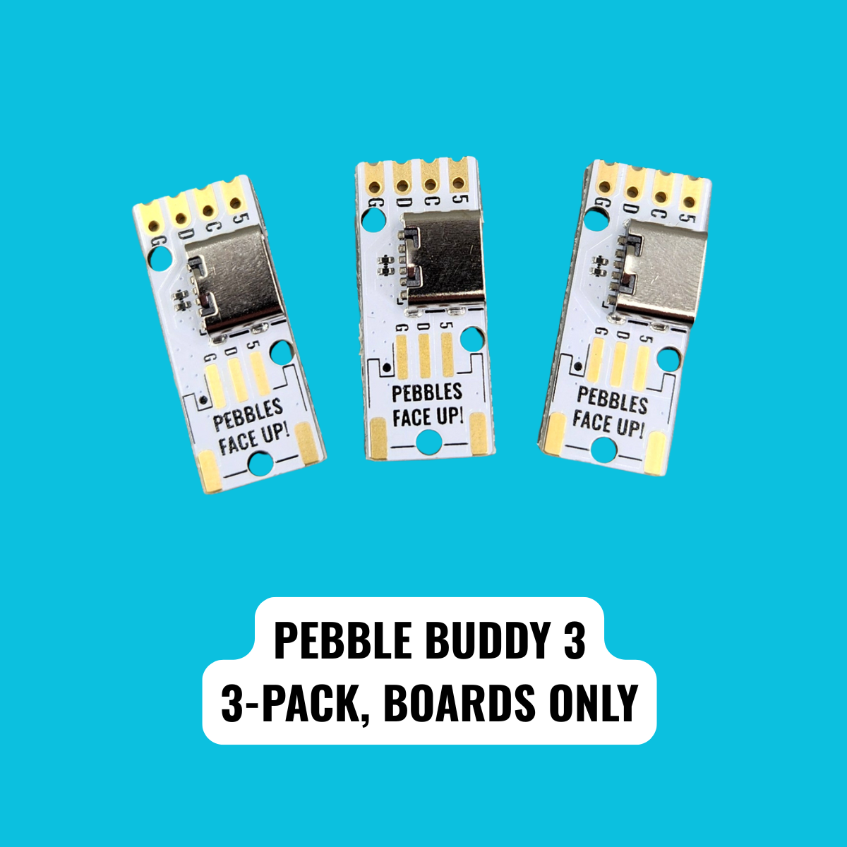 Pebble Buddy 3