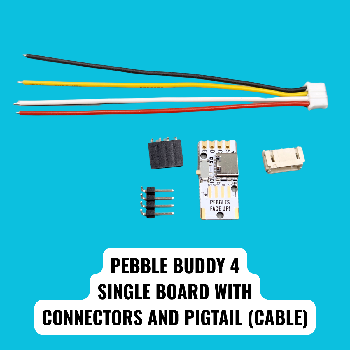 Pebble Buddy 4