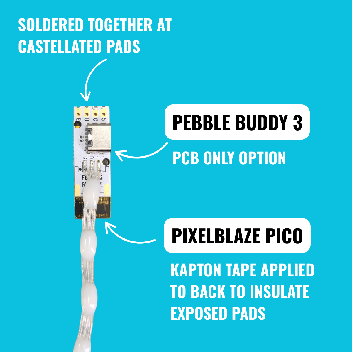 Pebble Buddy 3