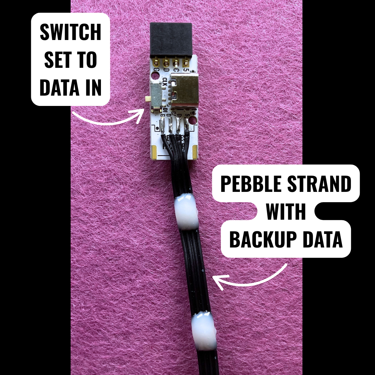 Pebble Buddy 4