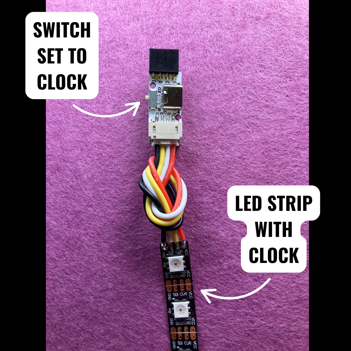 Pebble Buddy 4