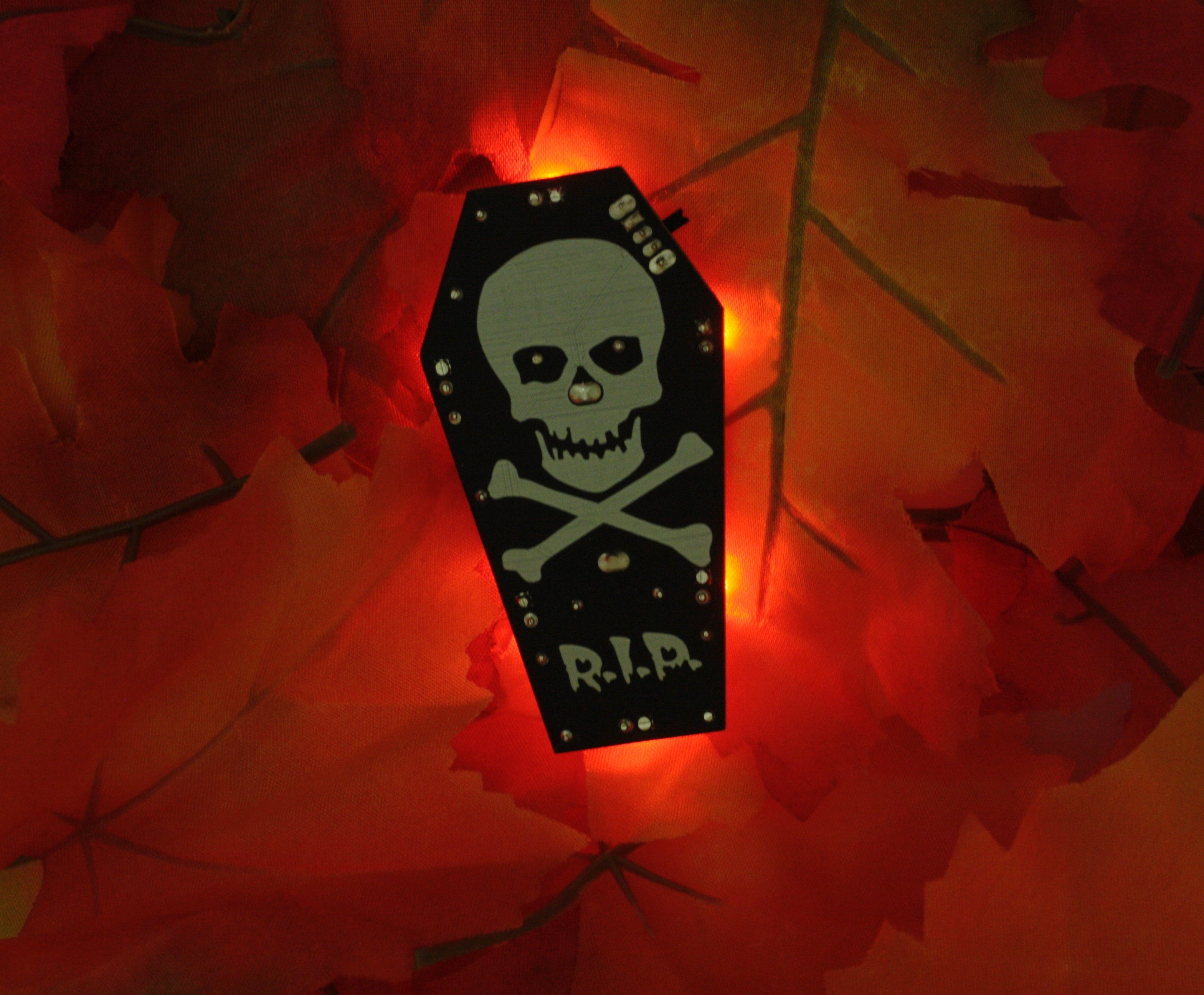 Spooky Coffin