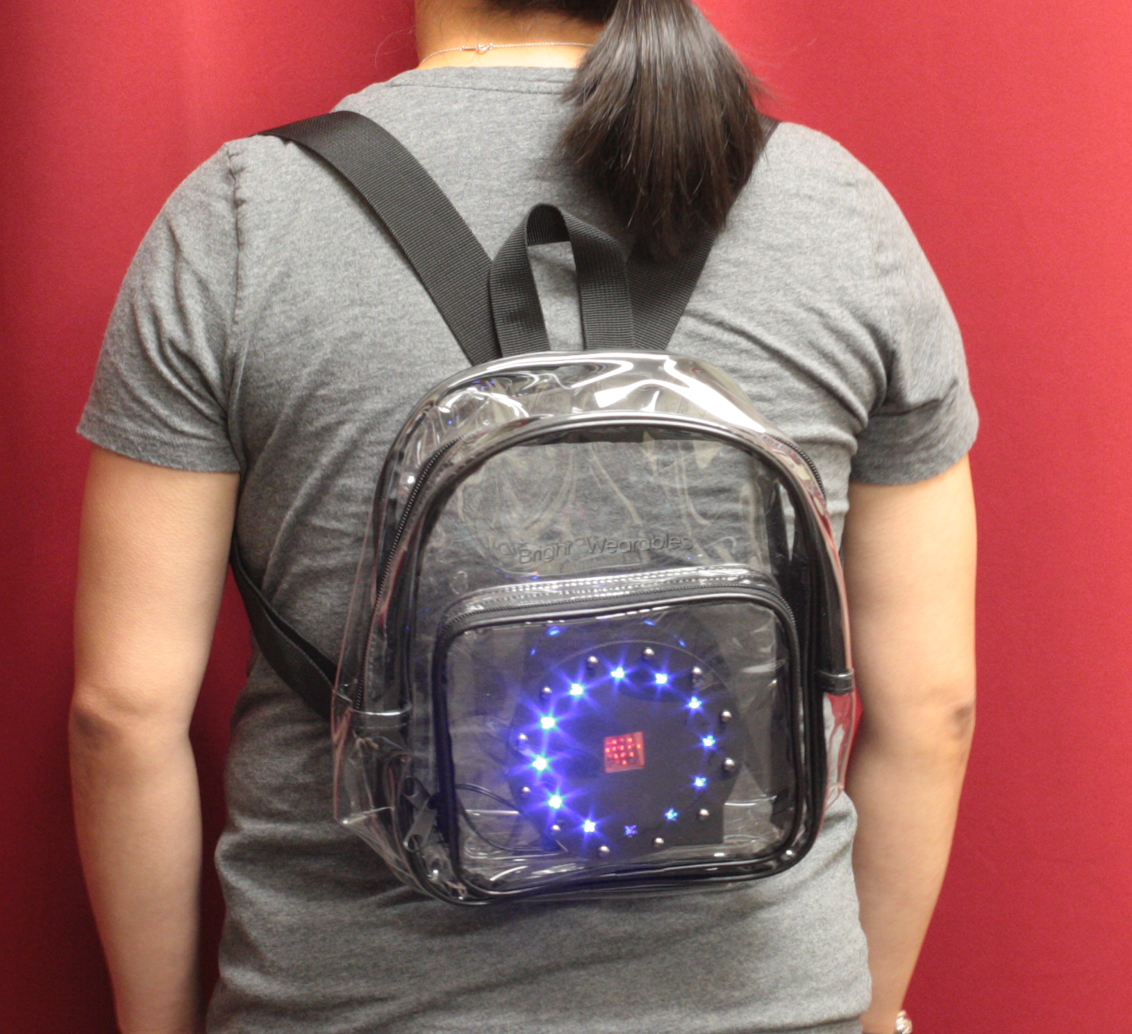 Ada Transparent Backpack